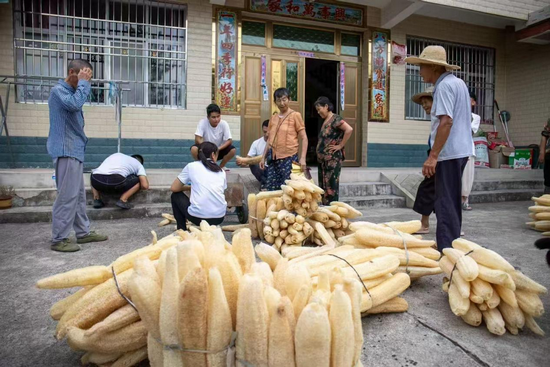 信阳市商城县：一根丝瓜络 串起共富链_fororder_图片3