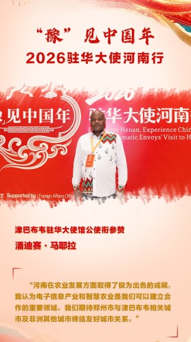 津巴布韦驻华大使馆公使衔参赞潘迪赛_fororder_驻华大使海报（津巴布韦修改版）