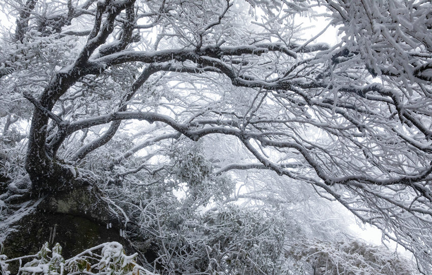 尧山初雪染秋色 镜头定格中原仙境_fororder_尧山初雪染秋色 镜头定格中原仙境4