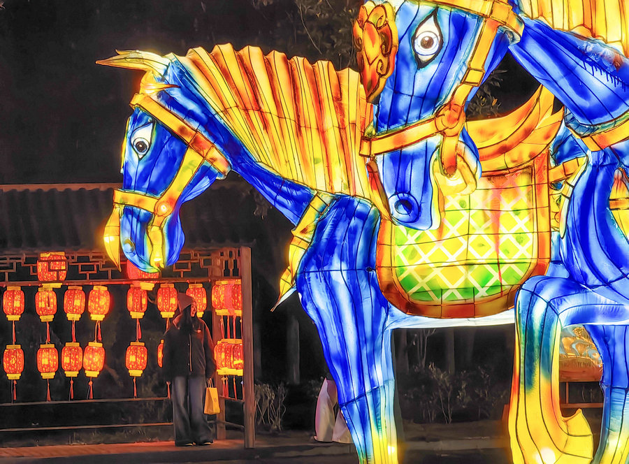 洛阳元宵氛围拉满!隋唐城遗址植物园里赏花灯看打铁花 流光溢彩闹佳节