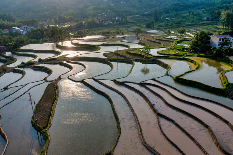 信阳市固始县：梯田层层 禾秧点点_fororder_DJI_0348