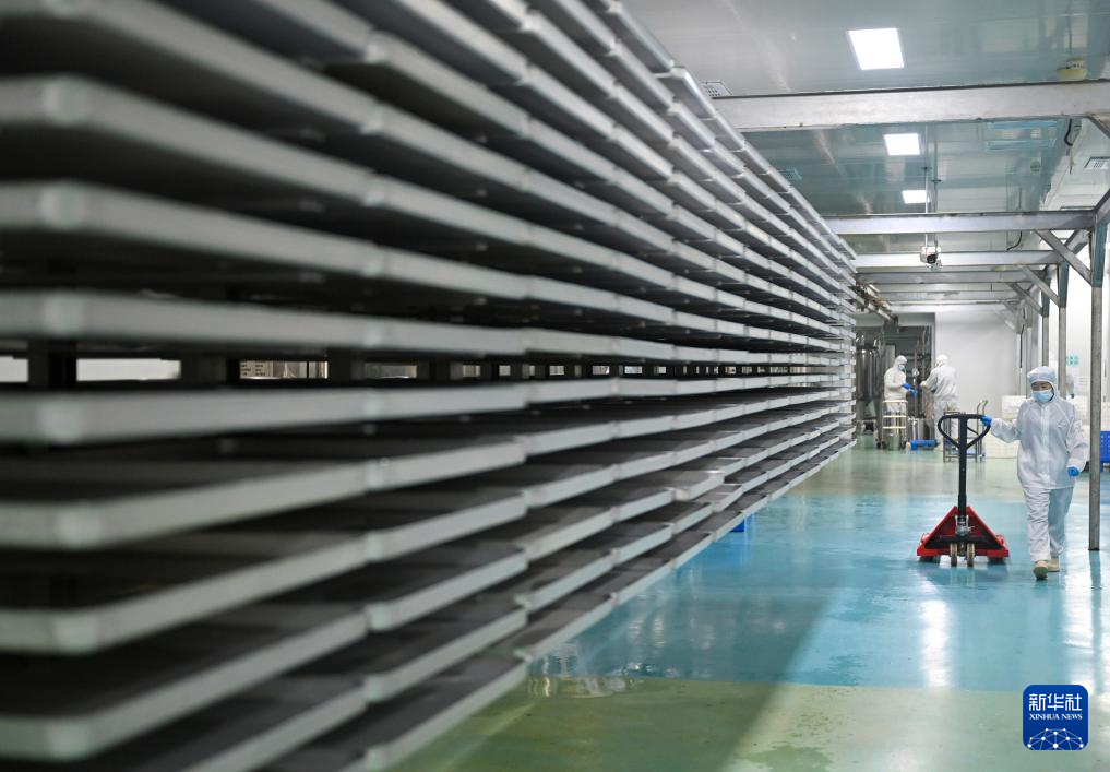 黄河岸边飘来非洲咖啡香_fororder_20260129262b9e206dcd452292fd2d37317554a0_202601298de7243884cc4a5ab4a2910eb19cb13e