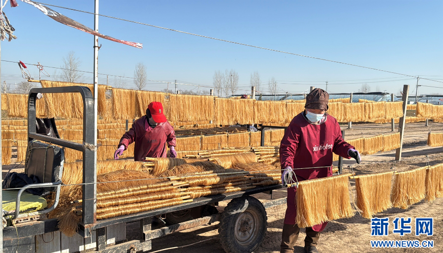 河南全力保障春节市场供应_fororder_20260118b4aa675bd877434f803f3e7f58fb1c8d_2026011879961c4fa03a466681a9b2dc95780c5c