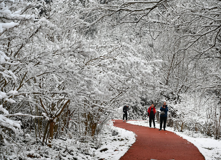 信阳市新县：雪落红城 美如水墨画卷_fororder_赏雪（焦汉平 摄）