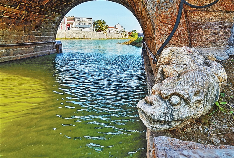 运河秋韵丨镜头里的河南