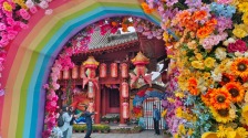 菊香开封