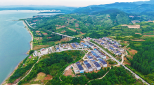 追青逐绿 大美中国 | 碧水青山间的“西峡答案”与“淅川路径”