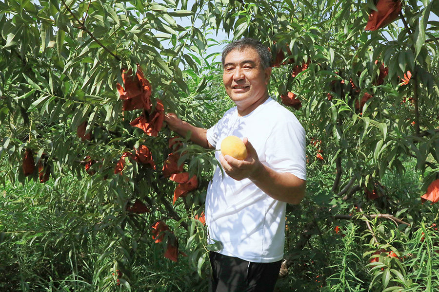 信阳市浉河区：茶乡“蹚”出幸福路 产业“链”起共富经_fororder_硕果累累农人乐