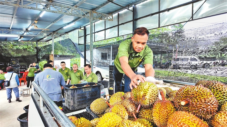 走 备点儿洋年货尝鲜_fororder_p39_s