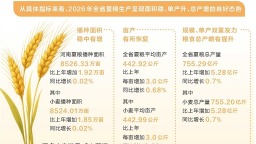 增量全国第一 2026年河南夏粮总产量755.29亿斤