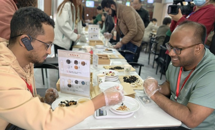 药香漫南阳 外国青年与网络达人共探中医药文化奥秘