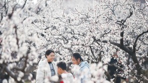 看河南卫生健康如何把“民生清单”变成“幸福账单” 惠民实事清单里的温度与力度