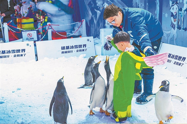 追雪河南 火热“开板”之后，如何穿越四季？_fororder_h011434_s