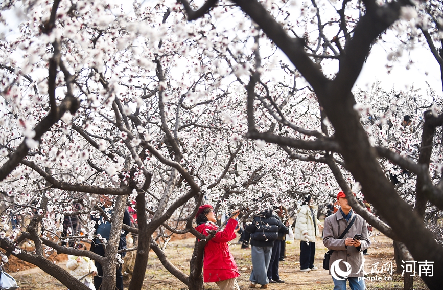 看河南卫生健康如何把“民生清单”变成“幸福账单” 惠民实事清单里的温度与力度_fororder_1.JPG