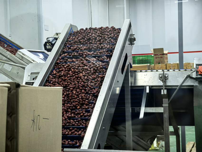 两岸媒体实地探访郑州 共绘融合发展新画卷_fororder_微信图片_20251024143657_265_471