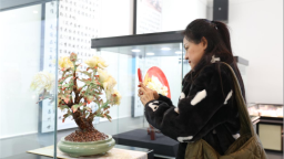 【2025打卡中国】瓷韵绽千年——感受中式美学的不朽力量_fororder_图片27