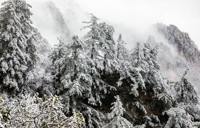 尧山初雪染秋色 镜头定格中原仙境_fororder_尧山初雪染秋色 镜头定格中原仙境6