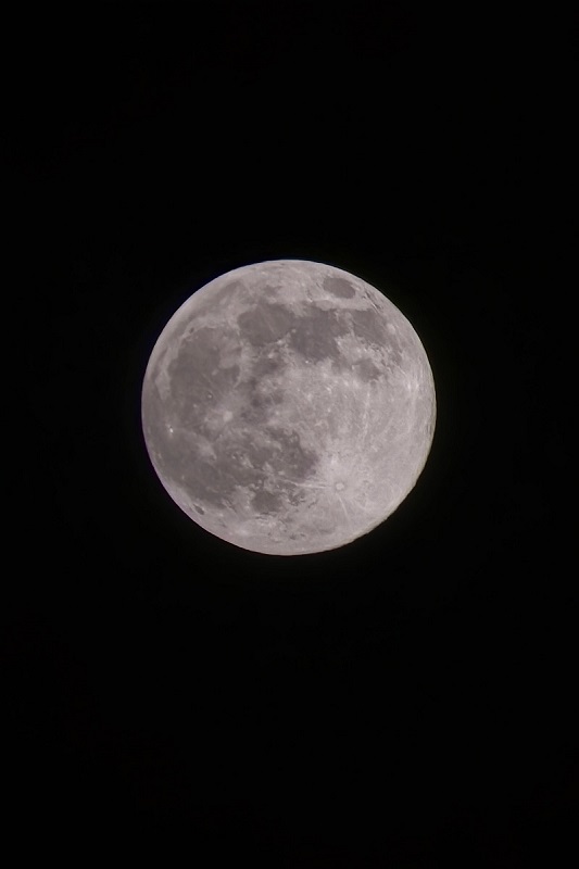 “超级月亮”现身夜空 “超级月亮”现身夜空_fororder__cgi-bin_mmwebwx-bin_webwxgetmsgimg__&MsgID=4431383631445053947&skey=@crypt_c93c024a_1109122aab50a29eb31dd582510f3912&mmweb_appid=wx_webfilehelper