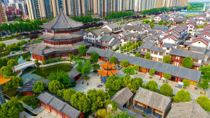 南阳市社旗县：直播架金桥 特产云端俏