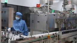 两岸媒体南阳行：探访特色产业 共话乡村振兴新篇章