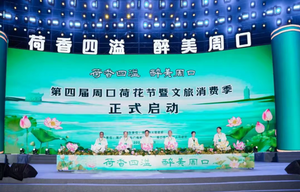 打造“荷美经济” 来周口解锁夏日“荷颜悦色”