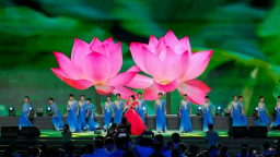 打造“荷美经济” 来周口解锁夏日“荷颜悦色”