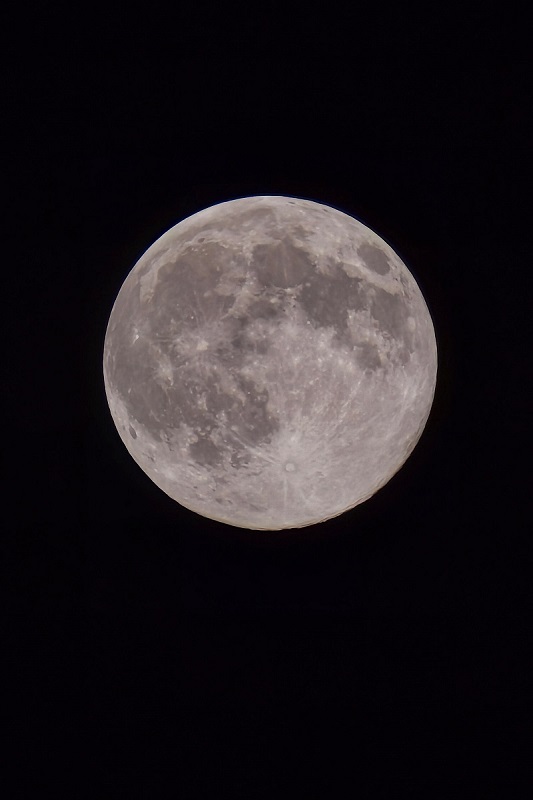 “超级月亮”现身夜空 “超级月亮”现身夜空_fororder__cgi-bin_mmwebwx-bin_webwxgetmsgimg__&MsgID=6115052434328681713&skey=@crypt_c93c024a_1109122aab50a29eb31dd582510f3912&mmweb_appid=wx_webfilehelper