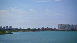濮阳市台前县：绘就生态宜居新画卷 打造绿色幸福家园