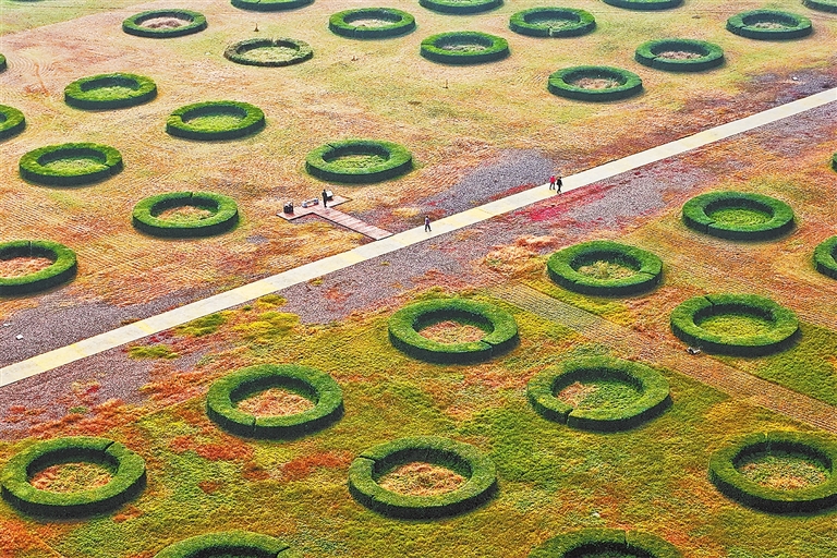 运河秋韵丨镜头里的河南