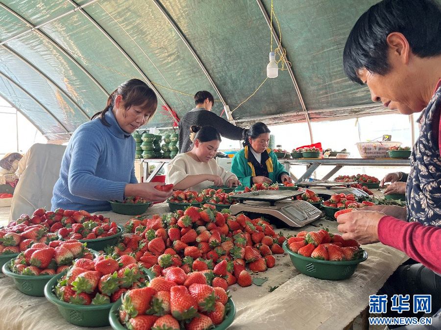 河南全力保障春节市场供应_fororder_20260118b4aa675bd877434f803f3e7f58fb1c8d_20260118e1999294dc224fd9989386a0a0514557