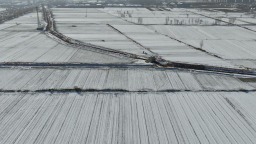 寒潮之下 晚播的冬小麦受影响吗？专家解答