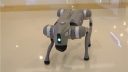 宇树科技河南首店落地郑州 引领科技消费热潮