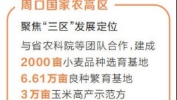 【奋战四季度 确保全年红】周口国家农高区小麦“链”成记