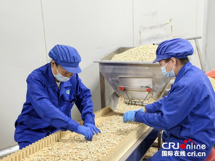 “饮”出健康好生活 外国青年、网络达人打卡南阳方林_fororder_3