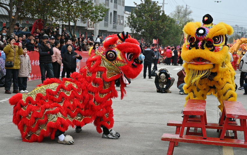 信阳市新县：豫南民俗文化展演热闹启幕_fororder_精彩的舞狮表演（焦汉平 摄）