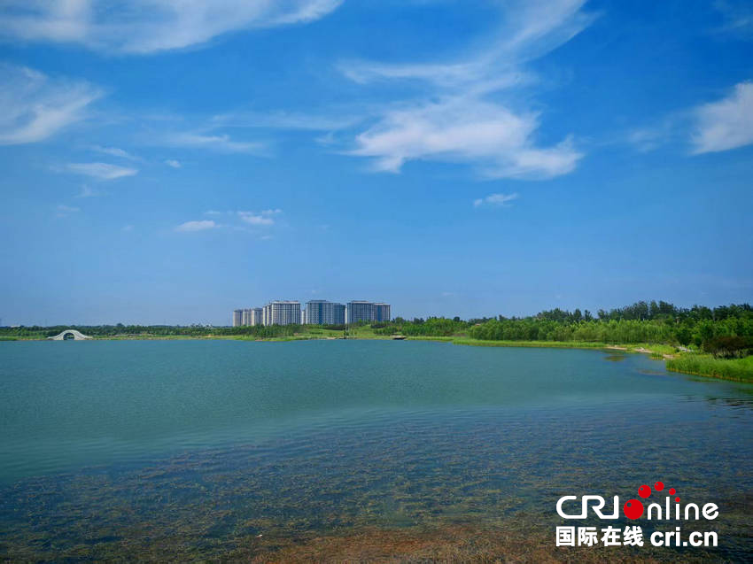 濮阳市台前县：绘就生态宜居新画卷 打造绿色幸福家园_fororder_图片4