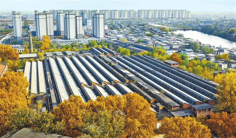 运河秋韵丨镜头里的河南