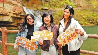 240小时过境免签政策实施一年 世界深度“种草”河南游