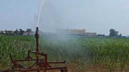 滴灌、喷灌、网灌 打好抗旱“第二仗”——河南秋粮生产一线观察