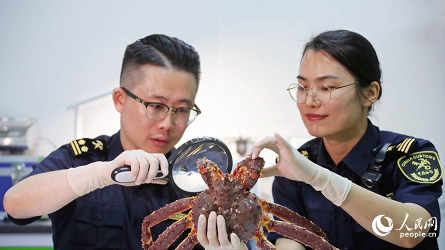 河南郑州：中原大地的“双城”故事