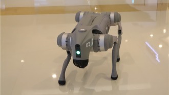 宇树科技河南首店落地郑州 引领科技消费热潮