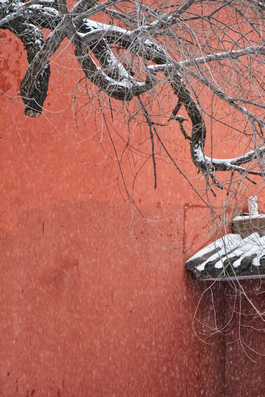 Z视觉 | 落雪覆飞檐 这份中式浪漫藏不住了_fororder_e8b8edc86de749909a4f89afcdc01e85