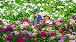 中国之城丨河南洛阳：山水环抱的千年古都