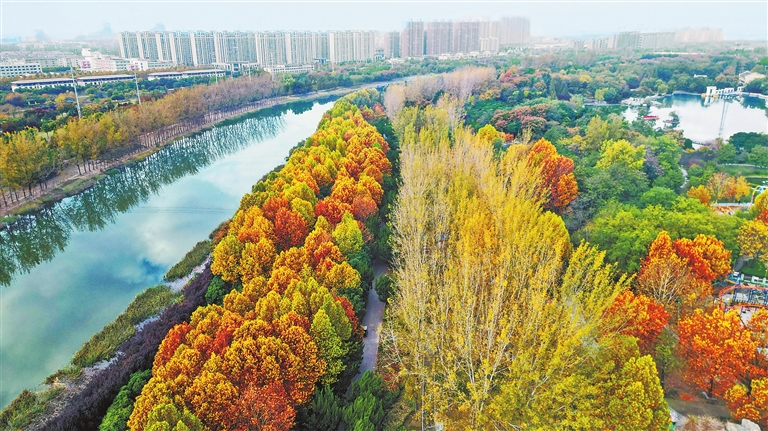 运河秋韵丨镜头里的河南