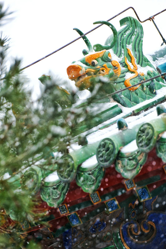 Z视觉 | 落雪覆飞檐 这份中式浪漫藏不住了_fororder_42691cb9c7084044bbfaac1fa7f9a441