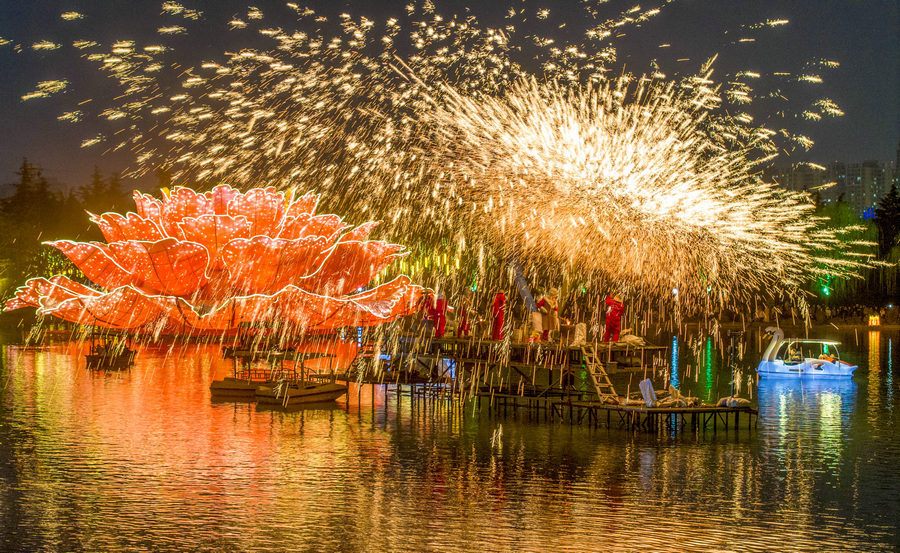 洛阳元宵氛围拉满!隋唐城遗址植物园里赏花灯看打铁花 流光溢彩闹佳节