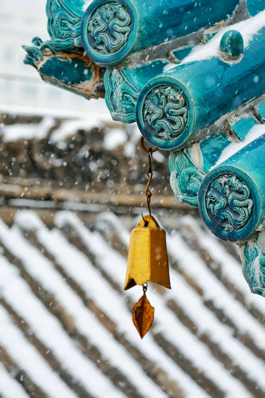 Z视觉 | 落雪覆飞檐 这份中式浪漫藏不住了_fororder_3b7b3cad5d1540cda8a3b51e6159a586