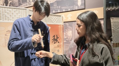 药香漫南阳 外国青年与网络达人共探中医药文化奥秘