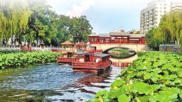 河南：文旅融合 一路繁花