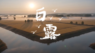 节气中国·AI同行｜露白中原 岁岁向荣